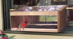 Mirrored panoramic In-House Window Feeder –