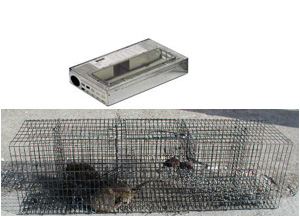 Repeating Mouse & Rat Trap
